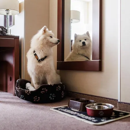 コサック クラクフ