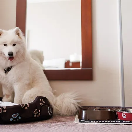 كوساك فندق 4*