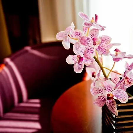 كوساك كراكوفيا