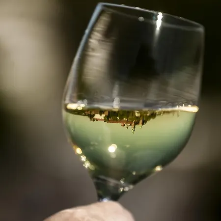 考萨克酒店 克拉科夫
